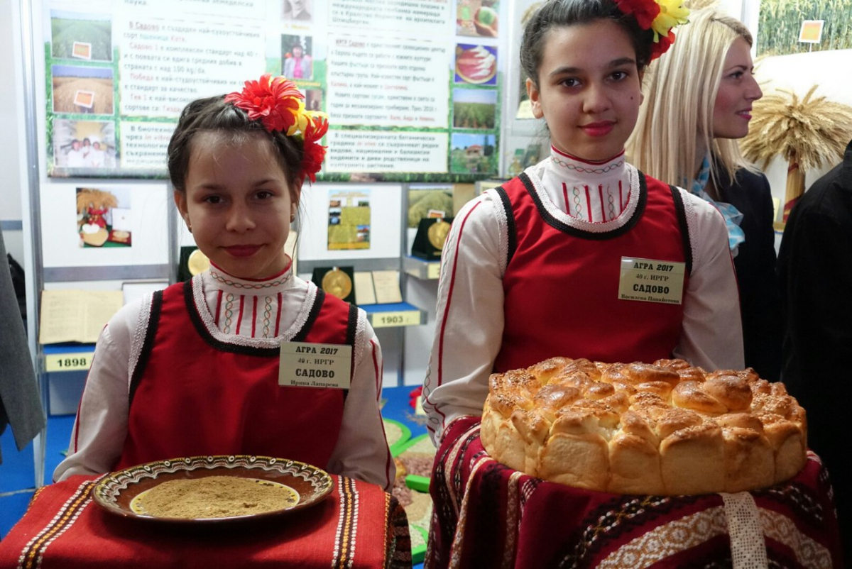 Bulgarian Culture Vinaria 2017