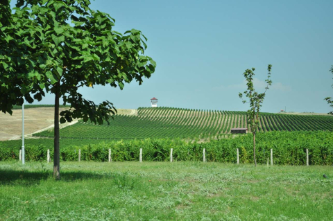 Logo Villa Yustina Winery Bulgarian Wine